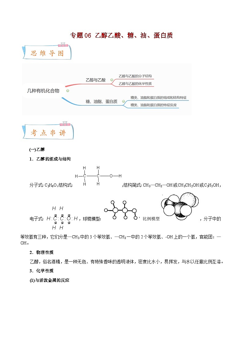 专题06 乙醇、乙酸、糖、油、蛋白质——2022-2023学年高一化学下学期期末知识点精讲+训练学案+期末模拟卷（沪科版2020）（解析版）第1页