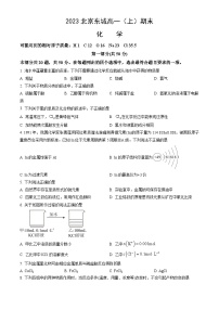 2023北京东城高一（上）期末化学（教师版）