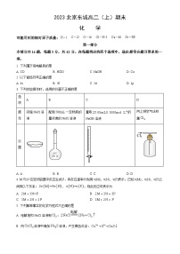 2023北京东城高二（上）期末化学（教师版）