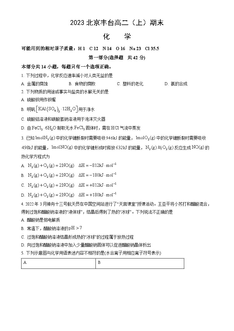 2023北京丰台高二（上）期末化学（教师版） 试卷01