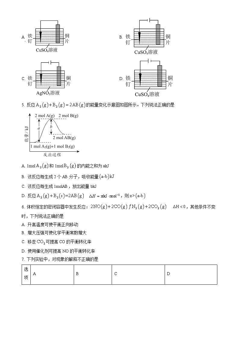 2023北京一零一中高二（上）期末化学（教师版）第2页