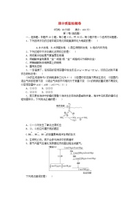 2023版新教材高中化学期中质量检测卷新人教版必修第二册