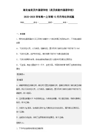 2022-2023学年湖北省武汉外国语学校（武汉实验外国语学校）高一上学期12月月考化学试题含解析