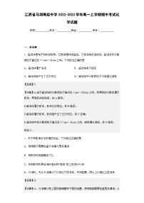 2022-2023学年江苏省马坝高级中学高一上学期期中考试化学试题含解析