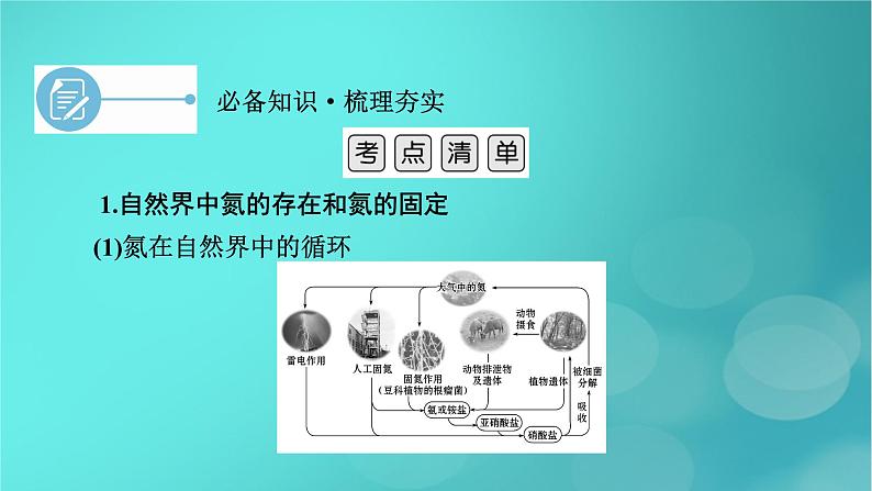 新教材适用2024版高考化学一轮总复习第4章非金属及其化合物第11讲氮及其重要化合物课件06