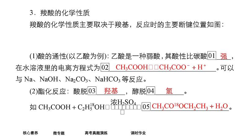 2024年高考化学一轮总复习 第11单元  第5讲　羧酸　羧酸衍生物 课件05