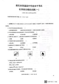 2023年重庆普通高中学业水平考试化学综合模拟试题（一）