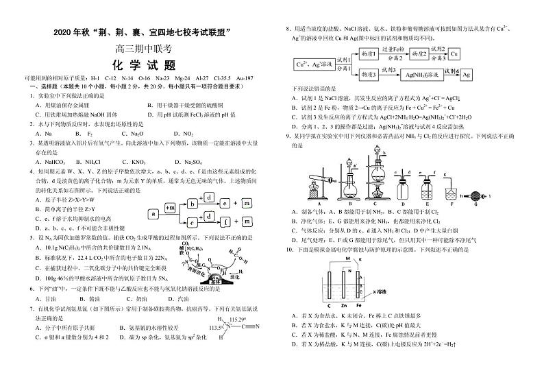 2021届湖北省“荆、荆、襄、宜“四地七校联盟高三上学期期中联考化学试卷 PDF版01
