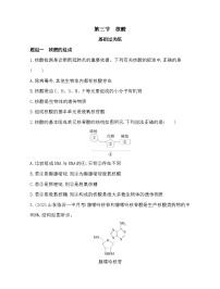 化学选择性必修3第四章 生物大分子第三节 核酸精练