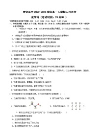 广东省云浮市罗定县中2022-2023学年高一下学期6月月考化学试题（Word版含答案）