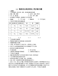 高中人教版 (2019)第一章 物质及其变化第一节 物质的分类及转化练习