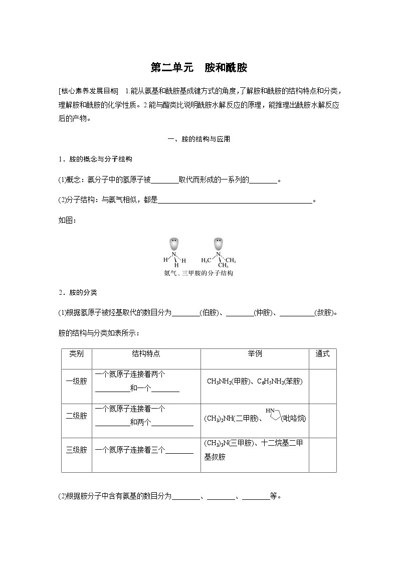 专题5 第二单元　胺和酰胺 学案（含答案）01