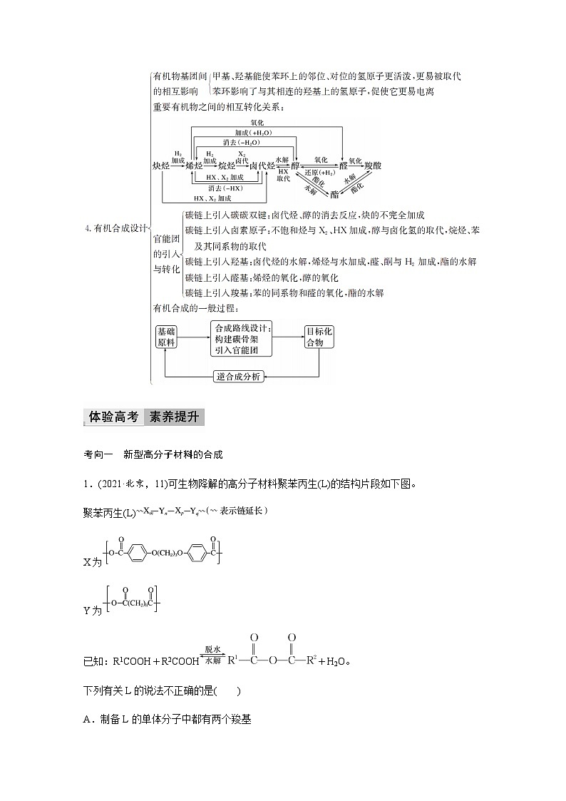 专题5　药物合成的重要原料—卤代烃、胺、酰胺 体系构建　体验高考 学案（含答案）02