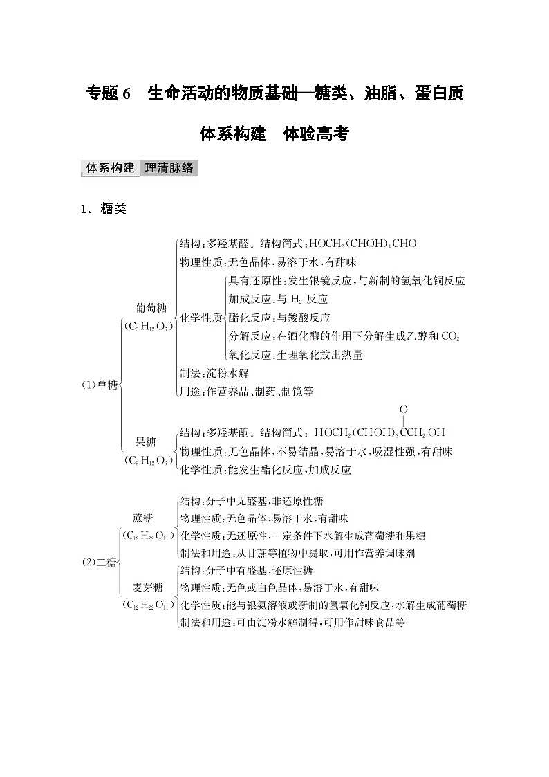 专题6　生命活动的物质基础—糖类、油脂、蛋白质 体系构建　体验高考 学案（含答案）01