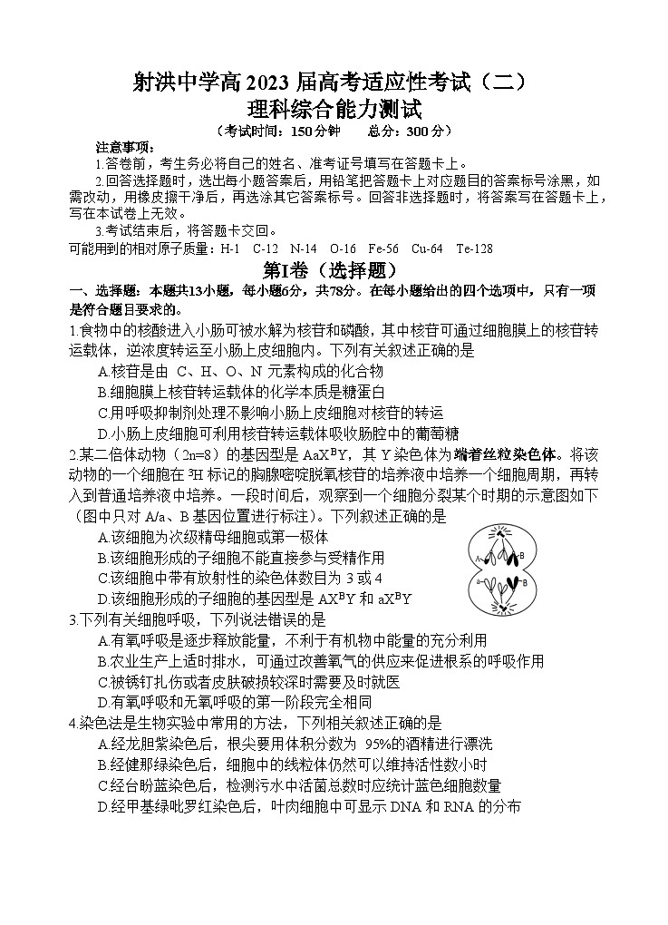 2023四川省射洪中学高高考适应性考试（二）理综试题含化学答案01
