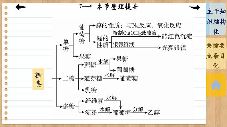 7.4 基本营养物质 整理提升（课件PPT）05