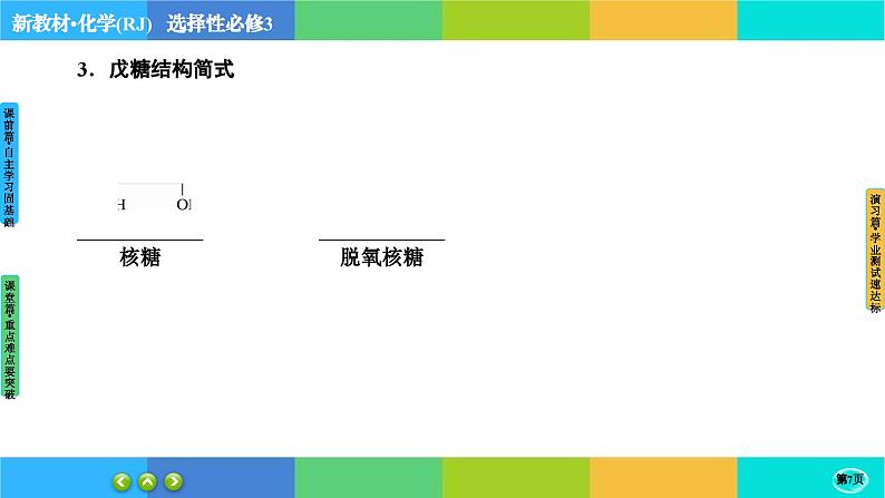 4.3《核酸》课件PPT07