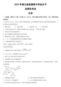 2023年高考湖北卷化学试卷【附真题答案】