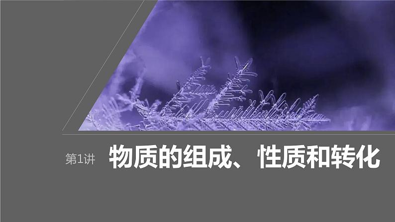 2024年高考化学一轮复习（新高考版） 第1章 第1讲　物质的组成、性质和转化 练习课件01