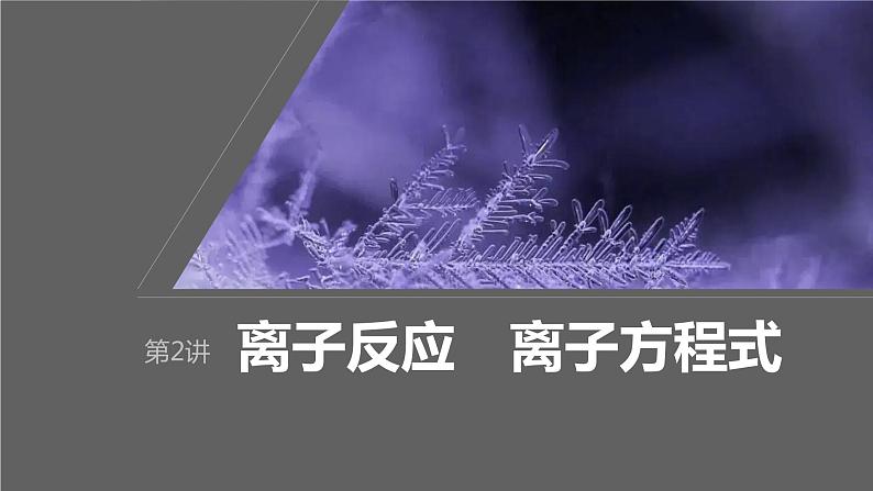 2024年高考化学一轮复习（新高考版） 第1章 第2讲　离子反应　离子方程式第1页