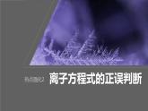 2024年高考化学一轮复习（新高考版） 第1章 热点强化2　离子方程式的正误判断 课件