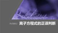 2024年高考化学一轮复习（新高考版） 第1章 热点强化2　离子方程式的正误判断