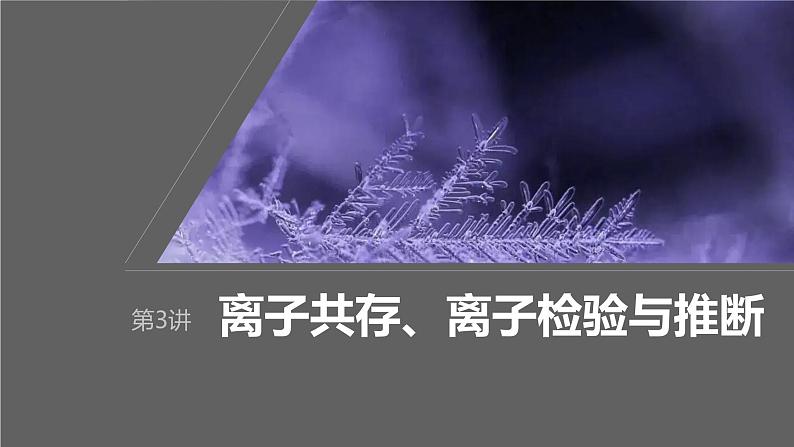 2024年高考化学一轮复习（新高考版） 第1章 第3讲　离子共存、离子检验与推断01