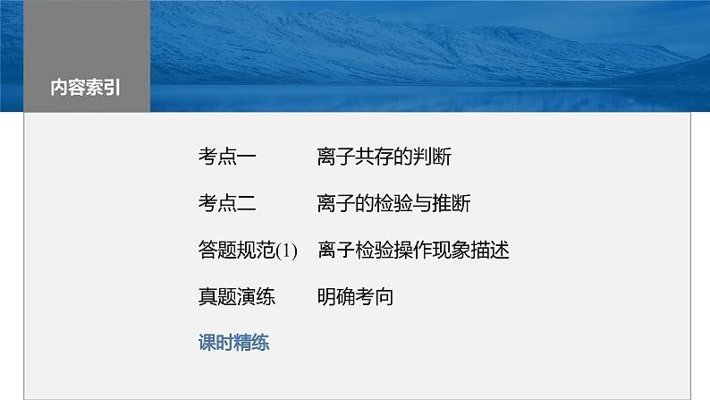 2024年高考化学一轮复习（新高考版） 第1章 第3讲　离子共存、离子检验与推断03