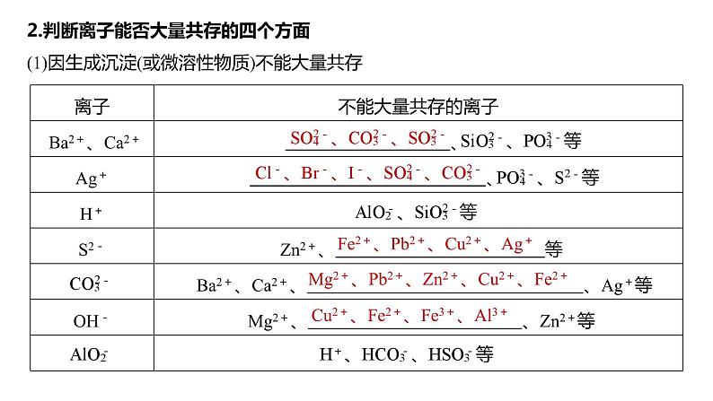 2024年高考化学一轮复习（新高考版） 第1章 第3讲　离子共存、离子检验与推断06