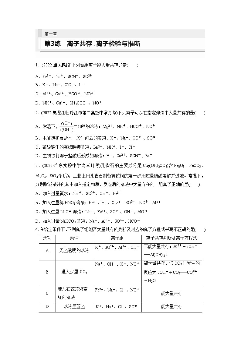 2024年高考化学一轮复习（新高考版） 第1章 第3讲　离子共存、离子检验与推断01