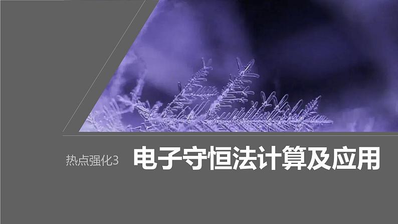 2024年高考化学一轮复习（新高考版） 第1章 热点强化3　电子守恒法计算及应用 课件01