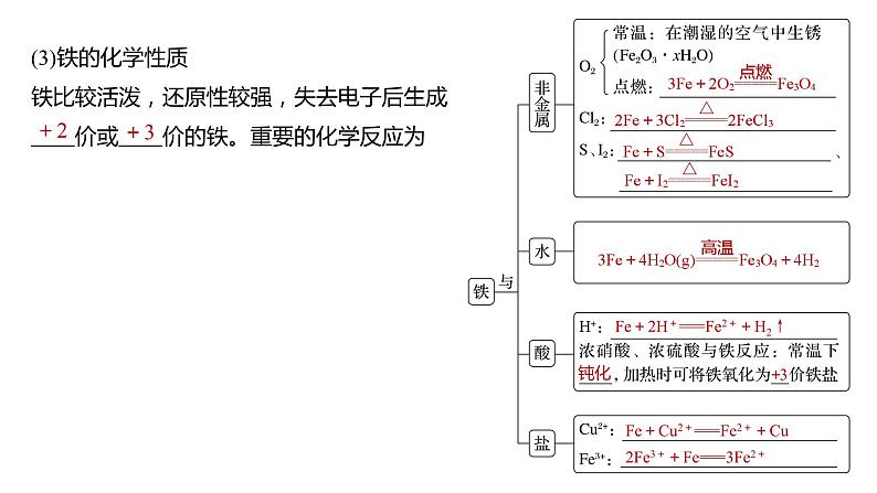 2024年高考化学一轮复习（新高考版） 第4章 第15讲　铁及其氧化物和氢氧化物 练习课件06