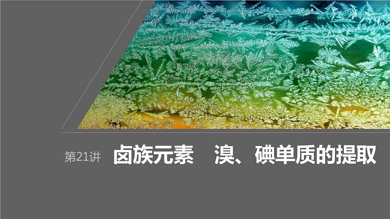 2024年高考化学一轮复习（新高考版） 第5章 第21讲　卤族元素　溴、碘单质的提取 练习课件01