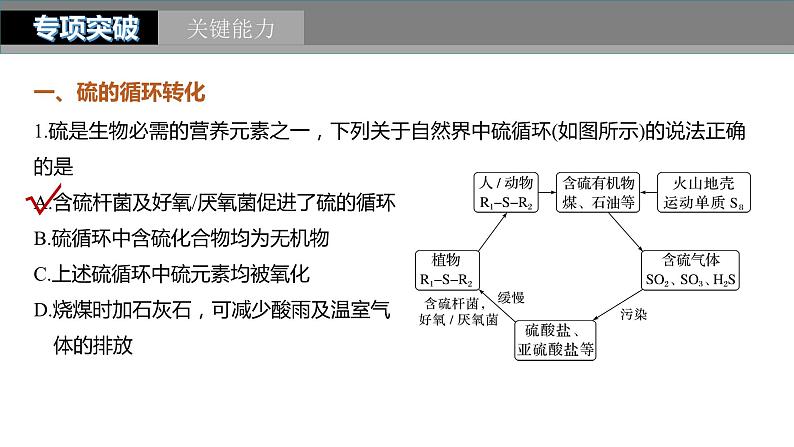 2024年高考化学一轮复习（新高考版） 第5章 第24讲　硫及其化合物的相互转化 练习课件08