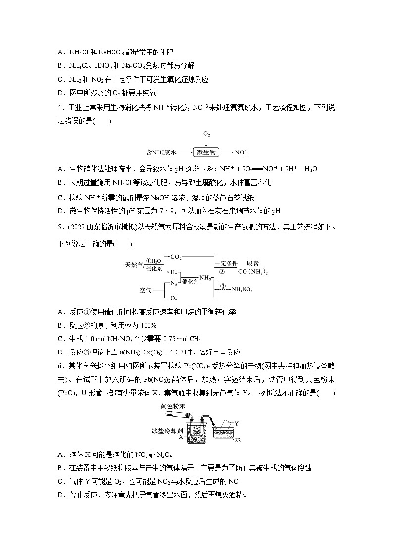 2024年高考化学一轮复习（新高考版） 第5章 第27讲　氮及其化合物的转化关系 练习课件02
