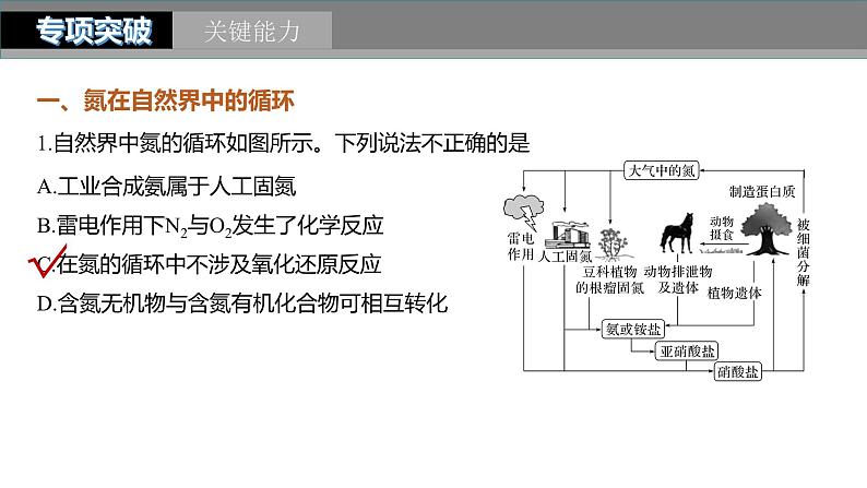 2024年高考化学一轮复习（新高考版） 第5章 第27讲　氮及其化合物的转化关系 练习课件06