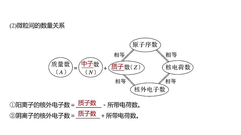 2024年高考化学一轮复习（新高考版） 第6章 第30讲　原子结构　核外电子排布规律 练习课件06