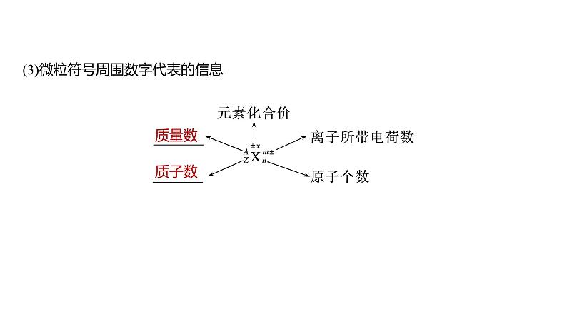 2024年高考化学一轮复习（新高考版） 第6章 第30讲　原子结构　核外电子排布规律 练习课件07