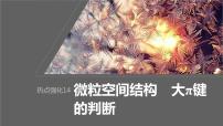 2024年高考化学一轮复习（新高考版） 第6章 热点强化14　微粒空间结构　大π键的判断