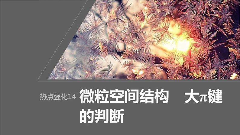 2024年高考化学一轮复习（新高考版） 第6章 热点强化14　微粒空间结构　大π键的判断 课件01