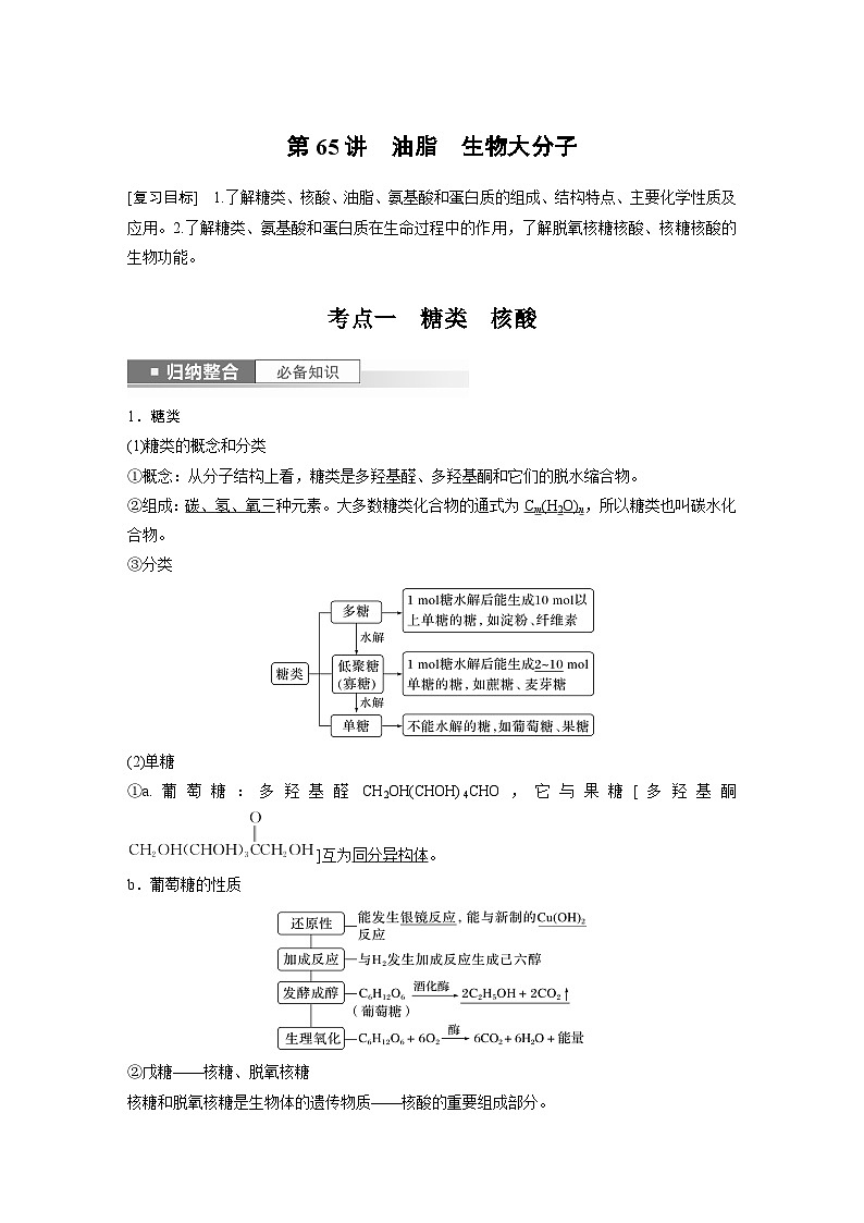 2024年高考化学一轮复习（新高考版） 第10章 第65讲　油脂　生物大分子 练习课件01