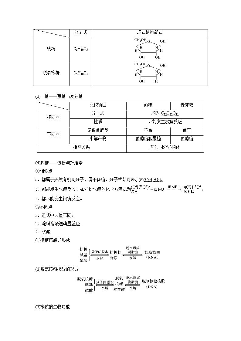 2024年高考化学一轮复习（新高考版） 第10章 第65讲　油脂　生物大分子 练习课件02