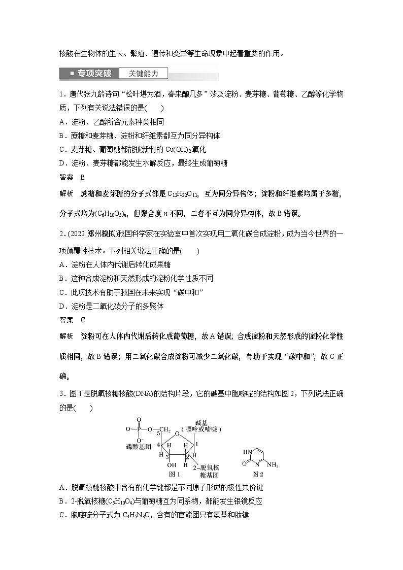2024年高考化学一轮复习（新高考版） 第10章 第65讲　油脂　生物大分子 练习课件03