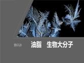 2024年高考化学一轮复习（新高考版） 第10章 第65讲　油脂　生物大分子 练习课件