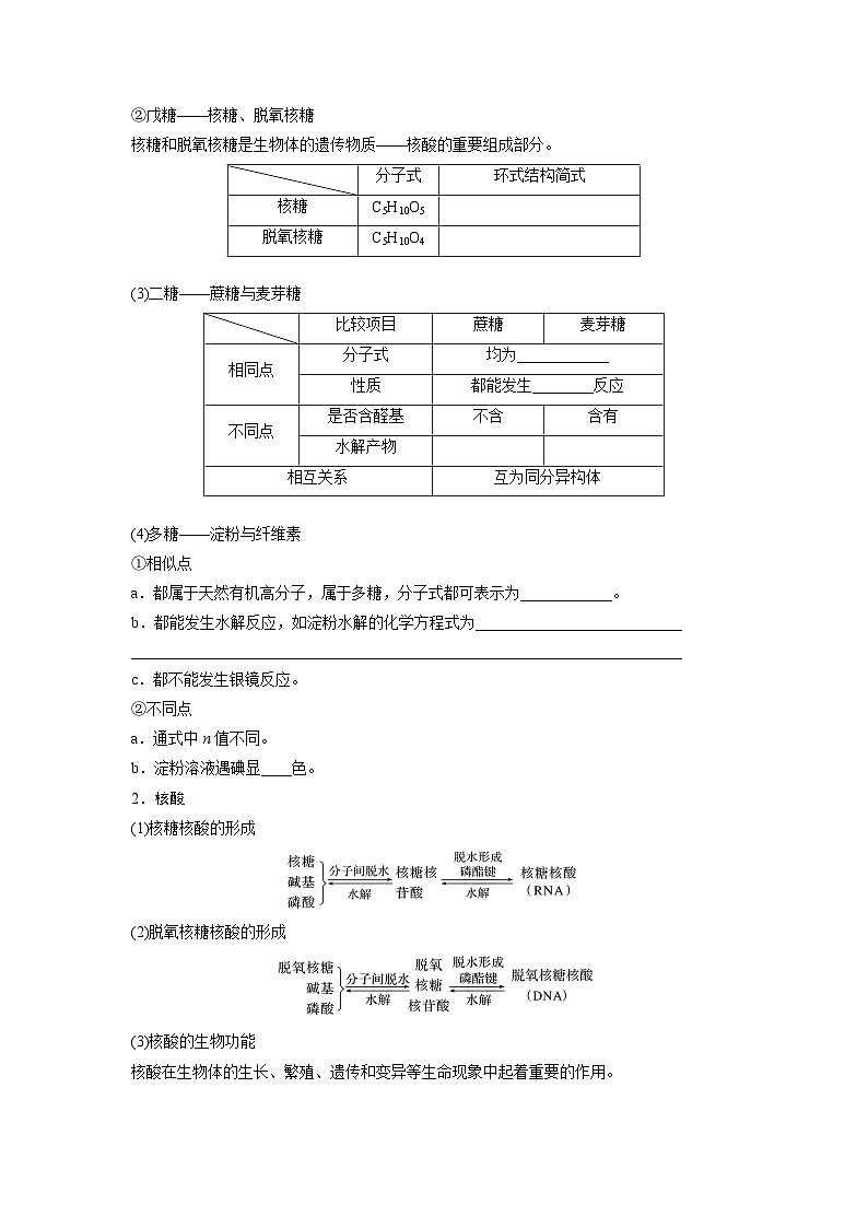 2024年高考化学一轮复习（新高考版） 第10章 第65讲　油脂　生物大分子 练习课件02