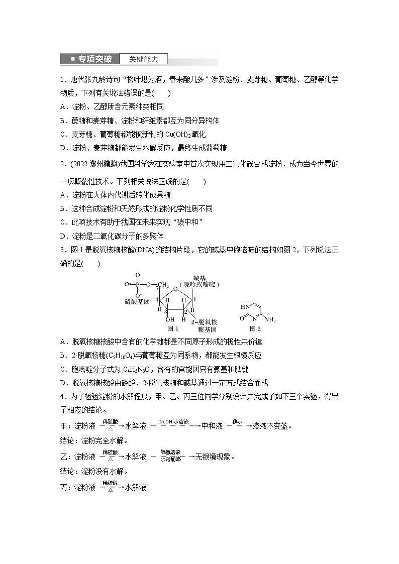 2024年高考化学一轮复习（新高考版） 第10章 第65讲　油脂　生物大分子 练习课件03