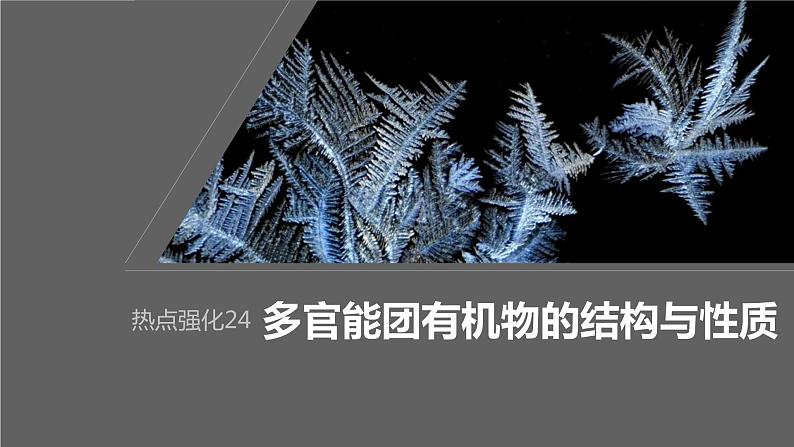 2024年高考化学一轮复习（新高考版） 第10章 热点强化24　多官能团有机物的结构与性质 课件01