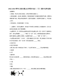 2022-2023学年上海市重点大学附中高二（下）期中化学试卷（含解析）