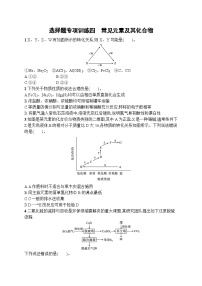 2023届高考化学二轮总复习广西专版课后习题 选择题专项训练四 常见元素及其化合物