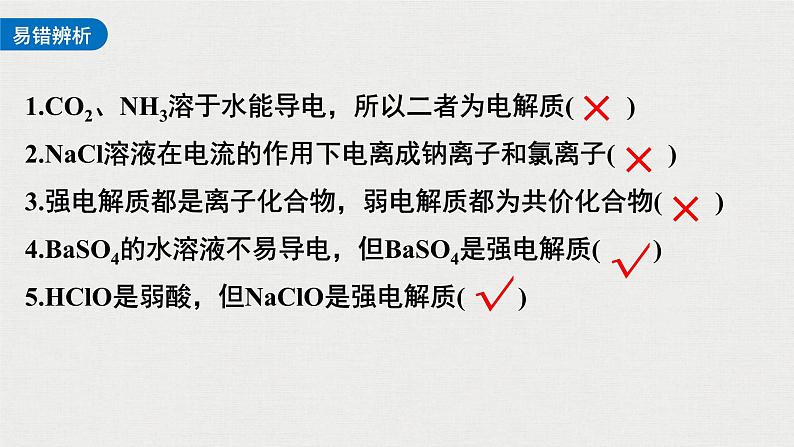 2023年高考化学一轮复习离子反应  离子方程式课件05